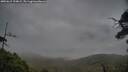 ./images/calvert/fitz-hugh-hecate/20250615/fitz-hugh-hecate20250615_194009M.jpg