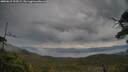 ./images/calvert/fitz-hugh-hecate/20250615/fitz-hugh-hecate20250615_194509M.jpg