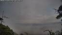 ./images/calvert/fitz-hugh-hecate/20250615/fitz-hugh-hecate20250615_202508M.jpg