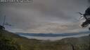 ./images/calvert/fitz-hugh-hecate/20250615/fitz-hugh-hecate20250615_203008M.jpg