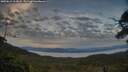 ./images/calvert/fitz-hugh-hecate/20250615/fitz-hugh-hecate20250615_212008M.jpg