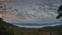 ./images/calvert/fitz-hugh-hecate/20250615/fitz-hugh-hecate20250615_214509M.jpg