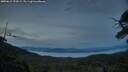 ./images/calvert/fitz-hugh-hecate/20250615/fitz-hugh-hecate20250615_222008M.jpg