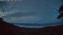 ./images/calvert/fitz-hugh-hecate/20250615/fitz-hugh-hecate20250615_224009M.jpg