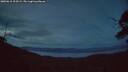 ./images/calvert/fitz-hugh-hecate/20250615/fitz-hugh-hecate20250615_224508M.jpg