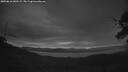 ./images/calvert/fitz-hugh-hecate/20250616/fitz-hugh-hecate20250616_042509M.jpg
