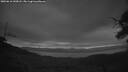 ./images/calvert/fitz-hugh-hecate/20250616/fitz-hugh-hecate20250616_043008M.jpg