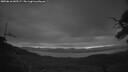 ./images/calvert/fitz-hugh-hecate/20250616/fitz-hugh-hecate20250616_043507M.jpg