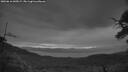 ./images/calvert/fitz-hugh-hecate/20250616/fitz-hugh-hecate20250616_045008M.jpg