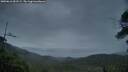 ./images/calvert/fitz-hugh-hecate/20250616/fitz-hugh-hecate20250616_051508M.jpg