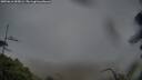 ./images/calvert/fitz-hugh-hecate/20250616/fitz-hugh-hecate20250616_055006M.jpg