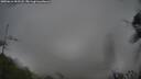 ./images/calvert/fitz-hugh-hecate/20250616/fitz-hugh-hecate20250616_055508M.jpg