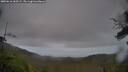 ./images/calvert/fitz-hugh-hecate/20250616/fitz-hugh-hecate20250616_060508M.jpg