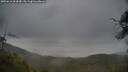./images/calvert/fitz-hugh-hecate/20250616/fitz-hugh-hecate20250616_063010M.jpg