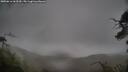 ./images/calvert/fitz-hugh-hecate/20250616/fitz-hugh-hecate20250616_063510M.jpg