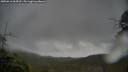 ./images/calvert/fitz-hugh-hecate/20250616/fitz-hugh-hecate20250616_064510M.jpg