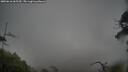./images/calvert/fitz-hugh-hecate/20250616/fitz-hugh-hecate20250616_065510M.jpg