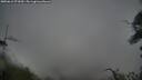 ./images/calvert/fitz-hugh-hecate/20250616/fitz-hugh-hecate20250616_071010M.jpg