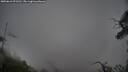 ./images/calvert/fitz-hugh-hecate/20250616/fitz-hugh-hecate20250616_071510M.jpg