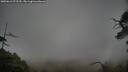 ./images/calvert/fitz-hugh-hecate/20250616/fitz-hugh-hecate20250616_072509M.jpg