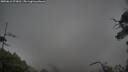 ./images/calvert/fitz-hugh-hecate/20250616/fitz-hugh-hecate20250616_073011M.jpg