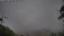 ./images/calvert/fitz-hugh-hecate/20250616/fitz-hugh-hecate20250616_074009M.jpg