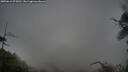 ./images/calvert/fitz-hugh-hecate/20250616/fitz-hugh-hecate20250616_075011M.jpg