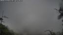 ./images/calvert/fitz-hugh-hecate/20250616/fitz-hugh-hecate20250616_075510M.jpg