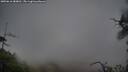 ./images/calvert/fitz-hugh-hecate/20250616/fitz-hugh-hecate20250616_080011M.jpg
