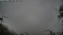 ./images/calvert/fitz-hugh-hecate/20250616/fitz-hugh-hecate20250616_080506M.jpg