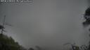 ./images/calvert/fitz-hugh-hecate/20250616/fitz-hugh-hecate20250616_081010M.jpg