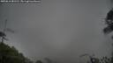 ./images/calvert/fitz-hugh-hecate/20250616/fitz-hugh-hecate20250616_081511M.jpg