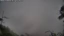 ./images/calvert/fitz-hugh-hecate/20250616/fitz-hugh-hecate20250616_082009M.jpg