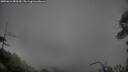 ./images/calvert/fitz-hugh-hecate/20250616/fitz-hugh-hecate20250616_082509M.jpg