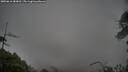 ./images/calvert/fitz-hugh-hecate/20250616/fitz-hugh-hecate20250616_083011M.jpg
