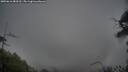 ./images/calvert/fitz-hugh-hecate/20250616/fitz-hugh-hecate20250616_083510M.jpg