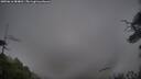 ./images/calvert/fitz-hugh-hecate/20250616/fitz-hugh-hecate20250616_084011M.jpg