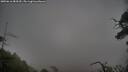 ./images/calvert/fitz-hugh-hecate/20250616/fitz-hugh-hecate20250616_084510M.jpg