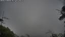 ./images/calvert/fitz-hugh-hecate/20250616/fitz-hugh-hecate20250616_085010M.jpg