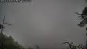 ./images/calvert/fitz-hugh-hecate/20250616/fitz-hugh-hecate20250616_085509M.jpg