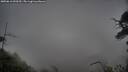./images/calvert/fitz-hugh-hecate/20250616/fitz-hugh-hecate20250616_090510M.jpg
