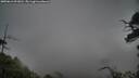 ./images/calvert/fitz-hugh-hecate/20250616/fitz-hugh-hecate20250616_091010M.jpg