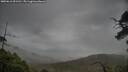 ./images/calvert/fitz-hugh-hecate/20250616/fitz-hugh-hecate20250616_091510M.jpg