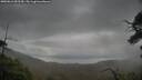 ./images/calvert/fitz-hugh-hecate/20250616/fitz-hugh-hecate20250616_092510M.jpg
