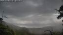 ./images/calvert/fitz-hugh-hecate/20250616/fitz-hugh-hecate20250616_093510M.jpg