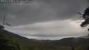 ./images/calvert/fitz-hugh-hecate/20250616/fitz-hugh-hecate20250616_094009M.jpg