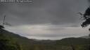 ./images/calvert/fitz-hugh-hecate/20250616/fitz-hugh-hecate20250616_095010M.jpg