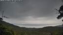 ./images/calvert/fitz-hugh-hecate/20250616/fitz-hugh-hecate20250616_100012M.jpg