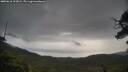 ./images/calvert/fitz-hugh-hecate/20250616/fitz-hugh-hecate20250616_101009M.jpg