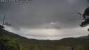 ./images/calvert/fitz-hugh-hecate/20250616/fitz-hugh-hecate20250616_101509M.jpg